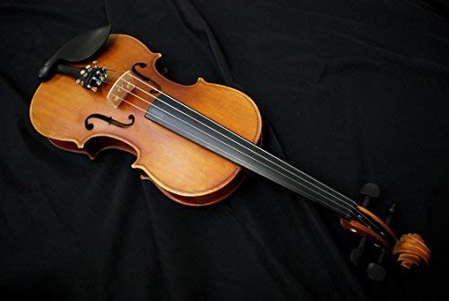 ハルシュタット・V-12 バイオリン